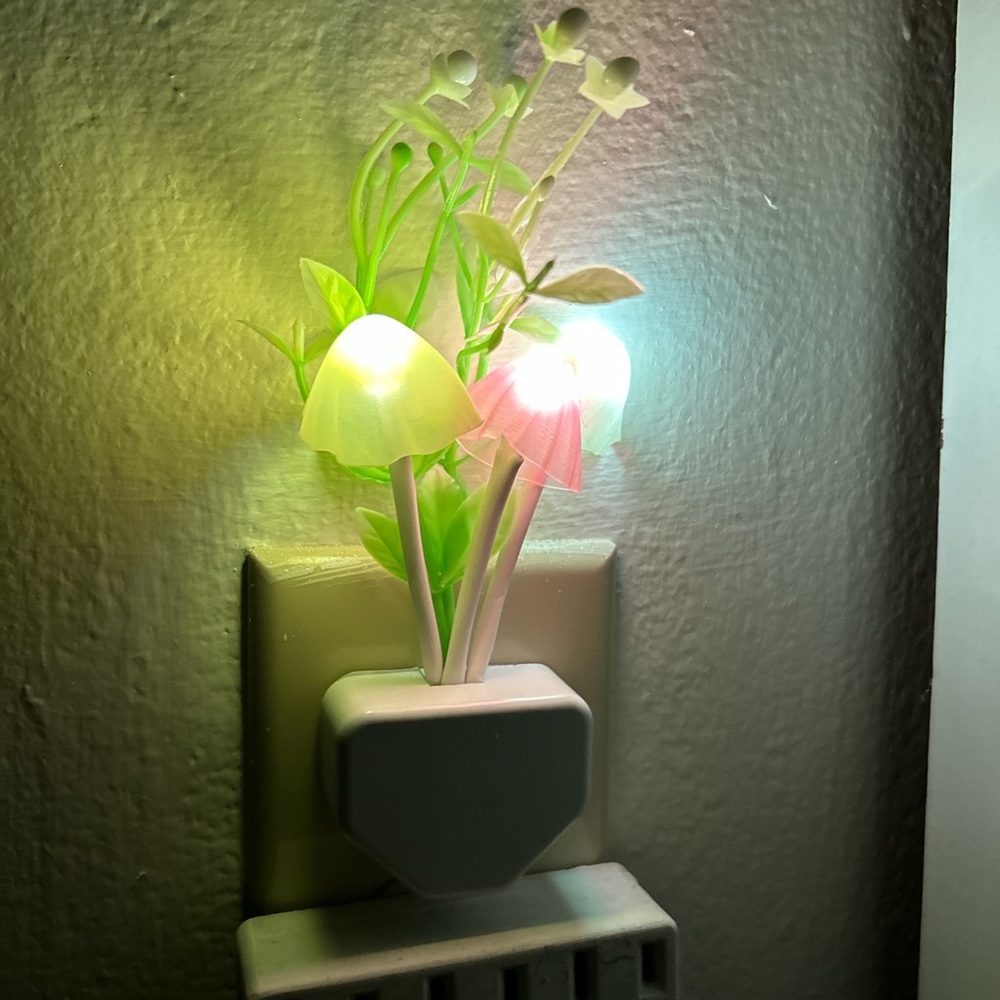 Mushroom night light🍄
